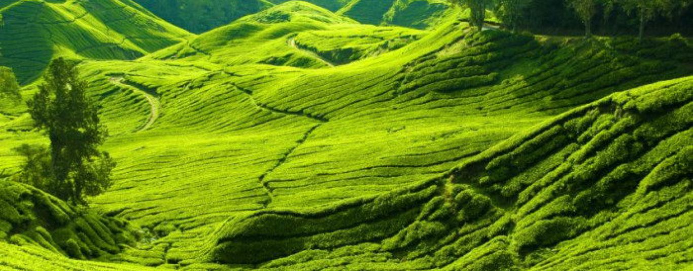 0576136508840250.jpg 0576136508840250.jpg