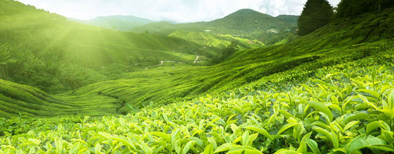 8120100271818050.jpg 8120100271818050.jpg