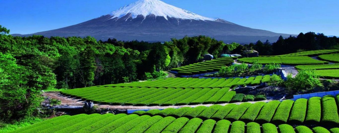 8767932775493110.jpg 8767932775493110.jpg