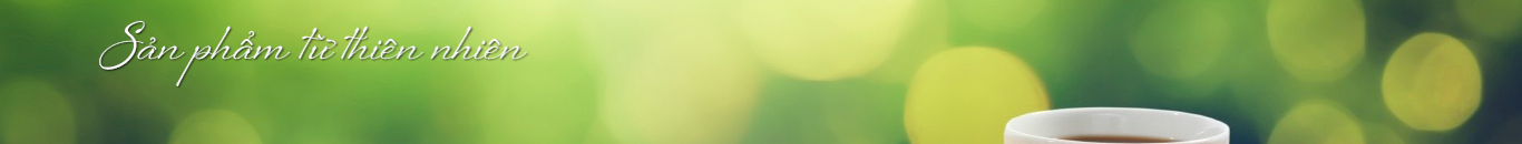 banner-9787.png